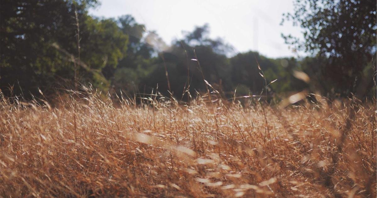 Vista urbana de Guadalajara