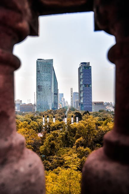 mexico city park neighborhood - Photo by Israel Torres